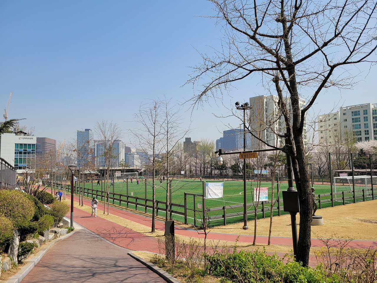 尼昂