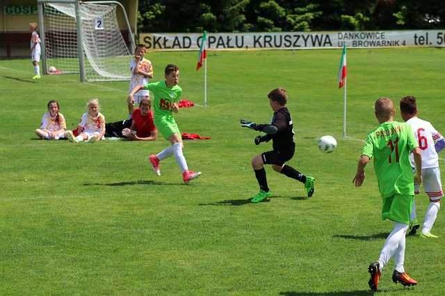 帅哈维的执 帅哈维的执