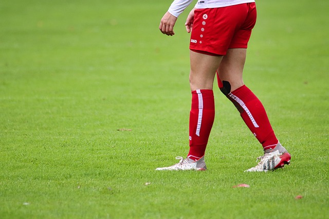 成都的足球 成都的足球