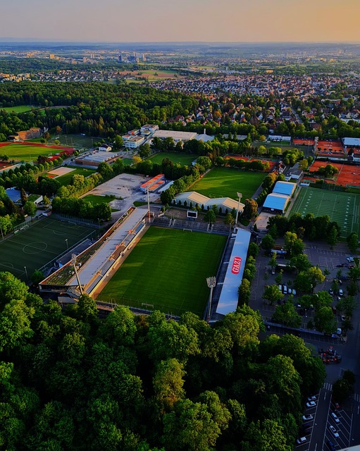 运动体验了 运动体验了