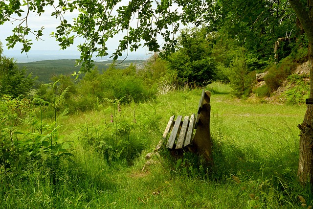 个人在球队 个人在球队