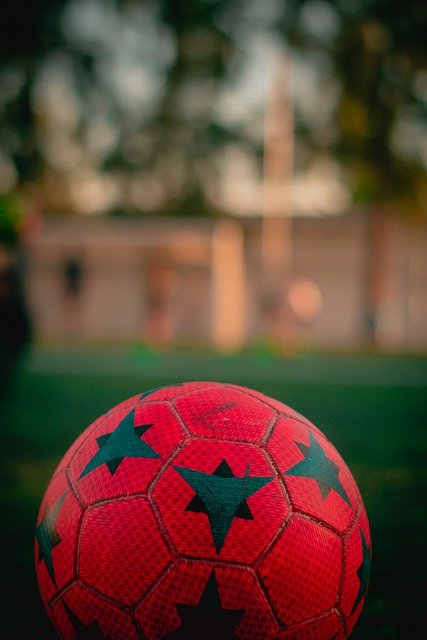 一粒精彩的 一粒精彩的