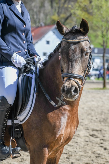 男足的奋战 男足的奋战