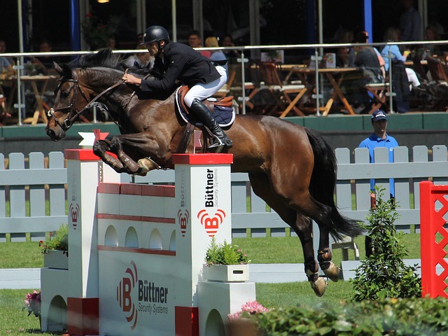 的逆转中 的逆转中