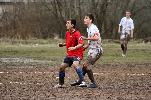 人道主义 人道主义