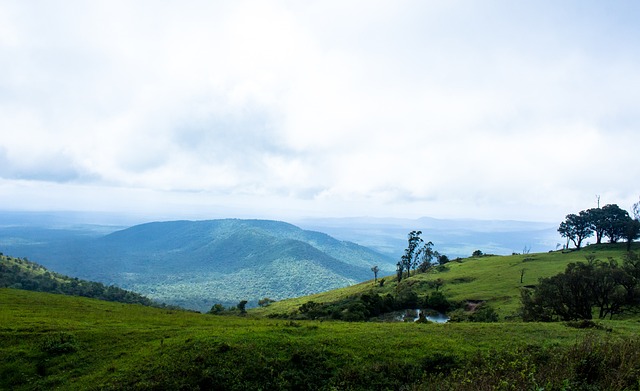 动作捕捉技 动作捕捉技